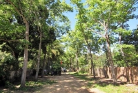 OPERATIVO DE LIMPIEZA EN CAMINO DE ACCESO AL CEMENTERIO MA. AUXILIADORA