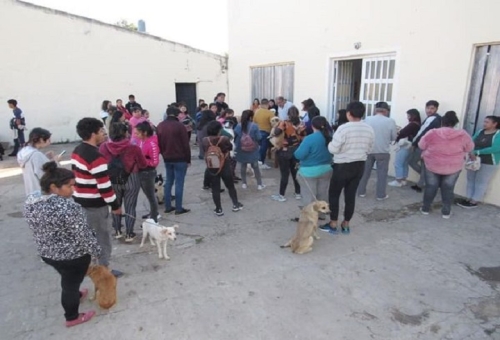 EXITOSA JORNADA DE CASTRACIÓN DE MASCOTAS