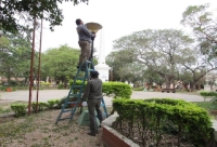 SE INTENSIFICAN LAS INTERVENCIONES URBANAS EN LA CIUDAD