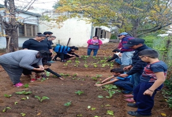 REACTIVAN HUERTA EN ESCUELA ESPECIAL N&ordm;23