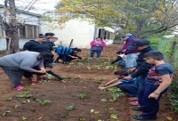 REACTIVAN HUERTA EN ESCUELA ESPECIAL N&ordm;23