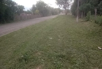 OPERATIVO DE LIMPIEZA Y DESMALEZAMIENTO ZONA CEMENTERIO