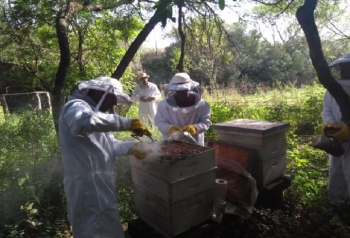 DESARROLLAN ASESORAMIENTO T&Eacute;CNICO A PRODUCTORES AV&Iacute;COLAS Y AP&Iacute;COLAS
