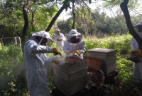 DESARROLLAN ASESORAMIENTO T&Eacute;CNICO A PRODUCTORES AV&Iacute;COLAS Y AP&Iacute;COLAS