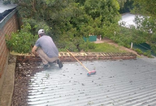 SE COLABORA CON LA LIMPIEZA DE TECHOS EN EL EDIFICIO DEL ISFD